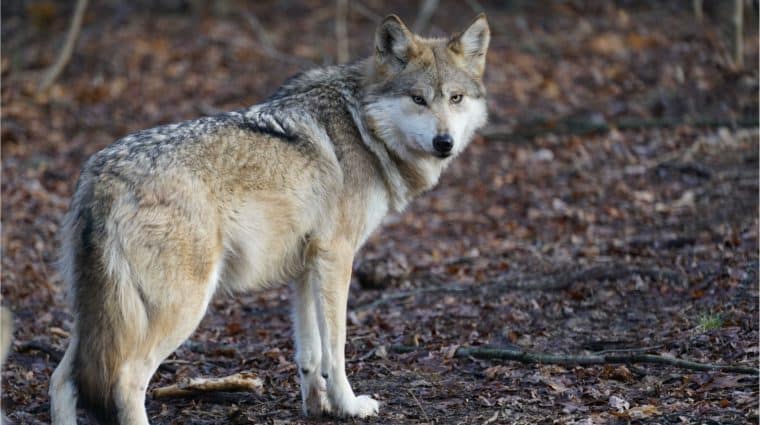 515441255 1202538038585485 1198901755005661259 N