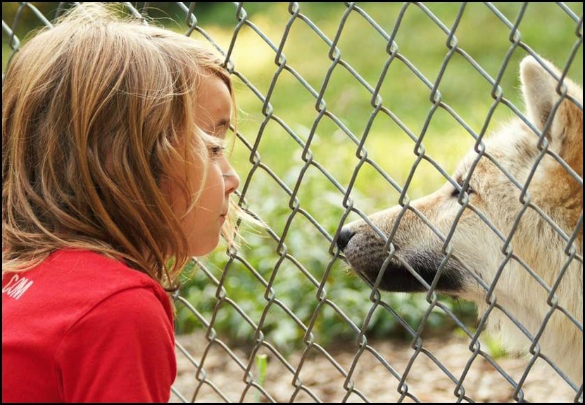 Eleanor Nikai Border