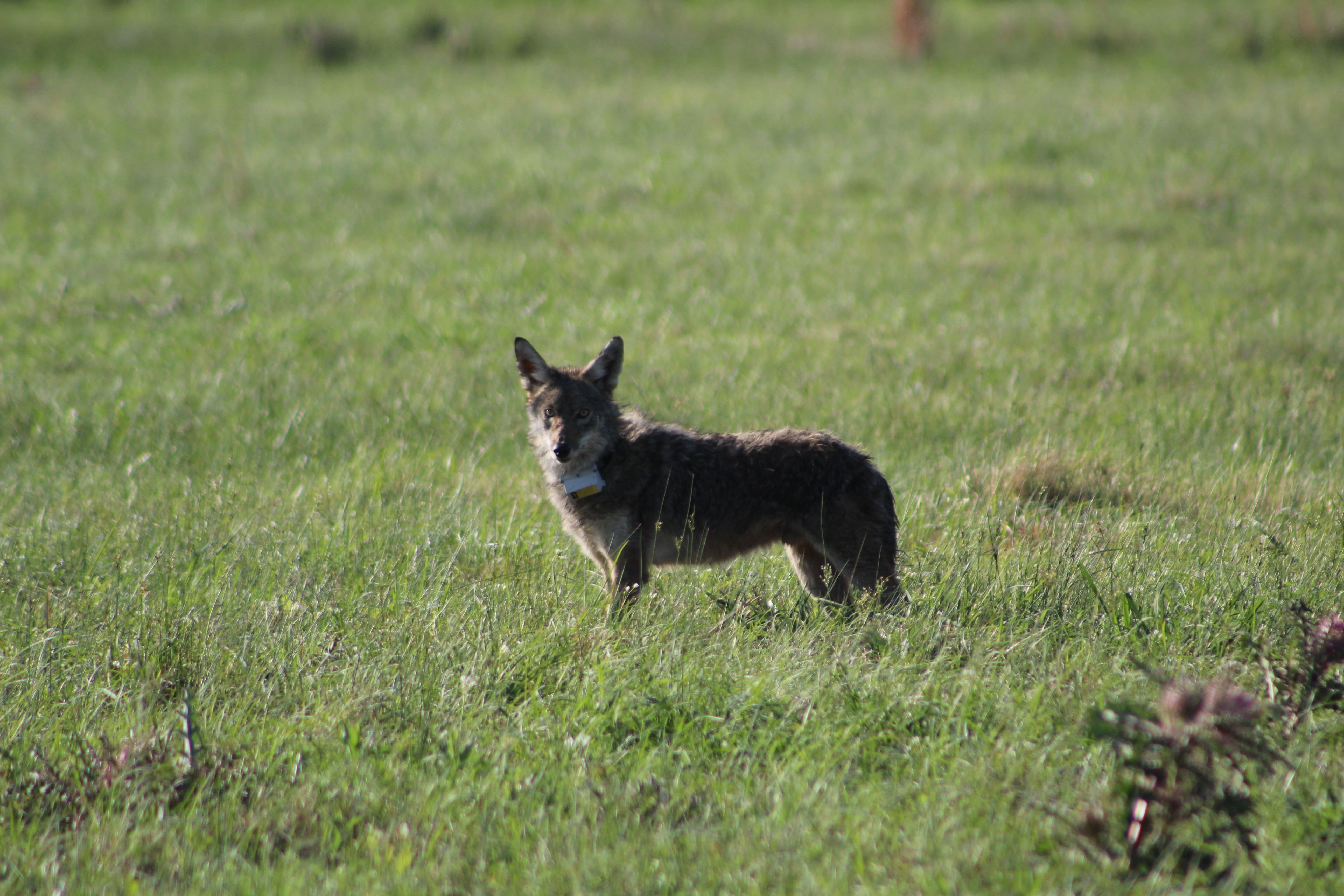 LA19M 05 (LA) 04.01.2021