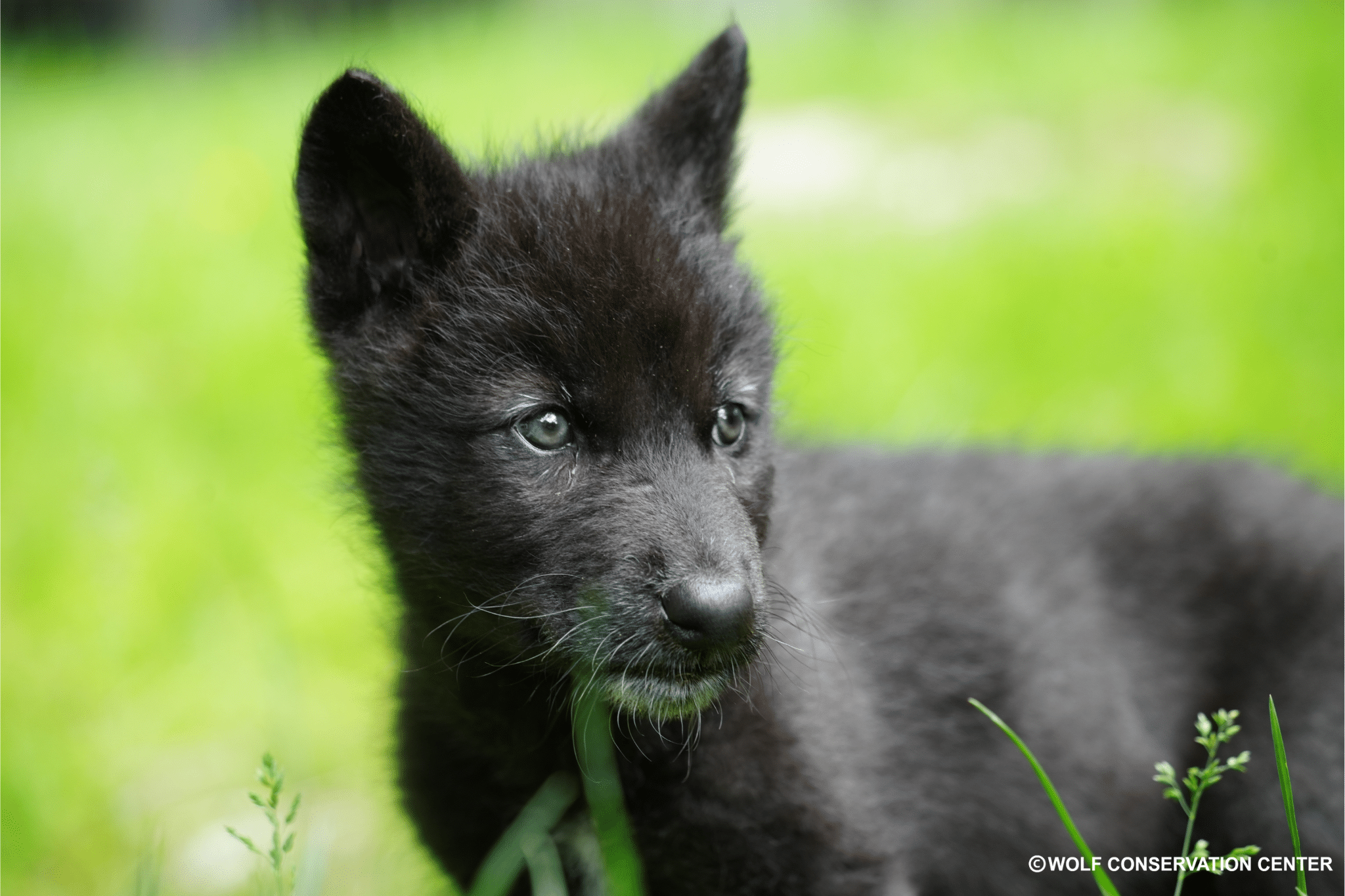 Untitled Design (30)